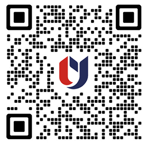 香港教育大学2026内地本科招生简章重磅发布!